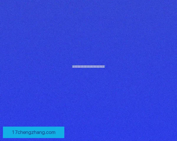 剑三和尚职业输出宏使用技巧与优化攻略全面解析